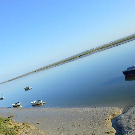 L'abricotier 別荘 *