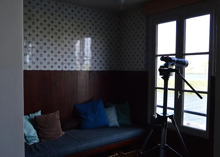 L'abricotier * Saint-Valéry-sur-Somme