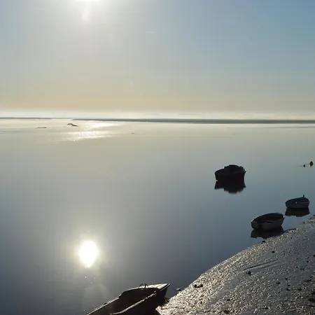L'abricotier * Saint-Valéry-sur-Somme